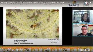 WhatsApp Image 2021-05-06 at 17.44.16.jpeg