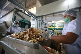 WhatsApp Image 2021-05-12 at 16.10.35 (4).jpeg