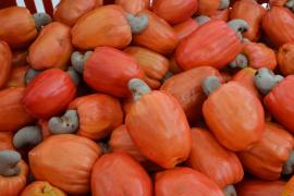 WhatsApp Image 2021-05-14 at 08.43.48 (4).jpeg