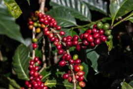 WhatsApp Image 2021-05-14 at 17.53.14 (1).jpeg