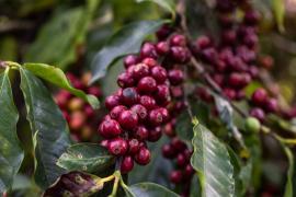 WhatsApp Image 2021-05-14 at 17.53.14 (5).jpeg