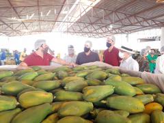 WhatsApp Image 2021-05-18 at 17.46.38 (1).jpeg