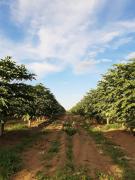 WhatsApp Image 2021-05-18 at 17.46.38.jpeg