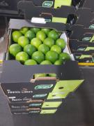 WhatsApp Image 2021-05-18 at 17.46.41.jpeg