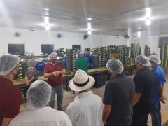 WhatsApp Image 2021-05-18 at 17.46.48.jpeg