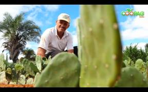 WhatsApp Image 2021-05-19 at 09.29.17 (4).jpeg