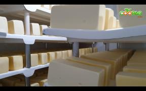 WhatsApp Image 2021-05-19 at 09.29.17 (7).jpeg