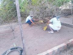 WhatsApp Image 2021-05-20 at 16.01.59 (1).jpeg