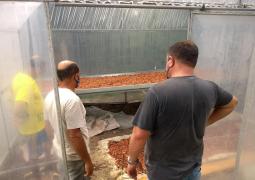 WhatsApp Image 2021-05-24 at 11.53.26.jpeg