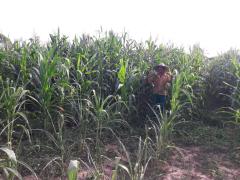 WhatsApp Image 2021-05-24 at 17.51.10 (1).jpeg