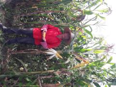 WhatsApp Image 2021-05-24 at 17.51.10 (3).jpeg