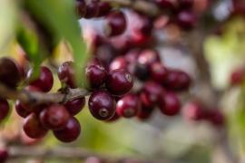 WhatsApp Image 2021-05-24 at 18.06.25 (1).jpeg