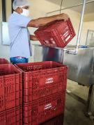 WhatsApp Image 2021-05-26 at 15.05.43.jpeg