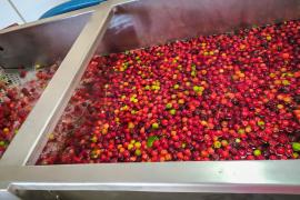 WhatsApp Image 2021-05-26 at 15.05.46 (1).jpeg