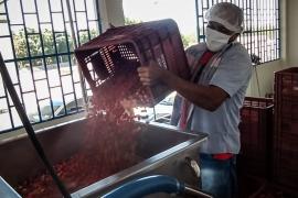 WhatsApp Image 2021-05-26 at 15.05.48.jpeg