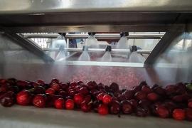 WhatsApp Image 2021-05-26 at 15.05.49.jpeg