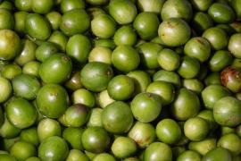 WhatsApp Image 2021-05-28 at 16.12.55 (1).jpeg