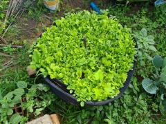 WhatsApp Image 2021-05-31 at 15.24.09.jpeg