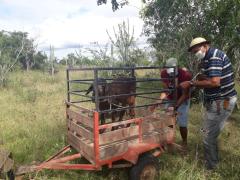 WhatsApp Image 2021-06-01 at 15.23.26 (2).jpeg