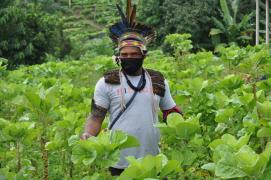 WhatsApp Image 2021-06-02 at 17.39.32 (2).jpeg