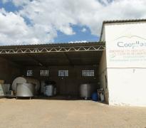 WhatsApp Image 2021-06-02 at 17.57.21.jpeg