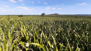 WhatsApp Image 2021-06-09 at 15.23.30-3.jpeg