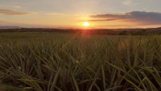 WhatsApp Image 2021-06-09 at 15.23.31.jpeg