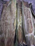 WhatsApp Image 2021-06-11 at 14.54.50.jpeg