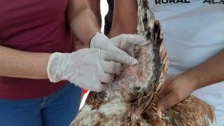 WhatsApp Image 2021-06-14 at 10.39.39 (2).jpeg