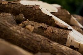 WhatsApp Image 2021-06-16 at 12.01.10 (12).jpeg