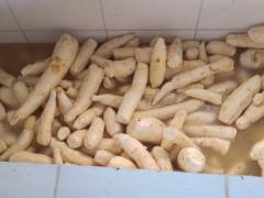 WhatsApp Image 2021-06-17 at 18.05.54 (1).jpeg