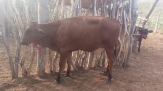 WhatsApp Image 2021-06-18 at 13.11.36 (1).jpeg