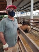 Lote-caprinosovinos-Central-Prosemiarido (5).jpeg