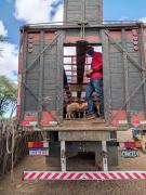 Lote-caprinosovinos-Central-Prosemiarido (8).jpeg