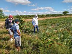 WhatsApp Image 2021-07-06 at 10.26.55.jpeg