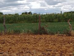 WhatsApp Image 2021-07-06 at 10.26.56 (1).jpeg