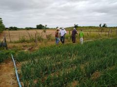 WhatsApp Image 2021-07-06 at 10.26.56 (2).jpeg