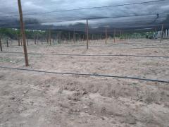 WhatsApp Image 2021-07-06 at 10.26.56 (3).jpeg