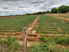 WhatsApp Image 2021-07-06 at 10.26.57 (2).jpeg