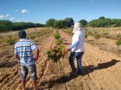 WhatsApp Image 2021-07-06 at 10.26.57.jpeg