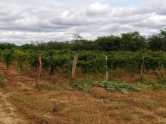 WhatsApp Image 2021-07-06 at 10.26.58 (1).jpeg