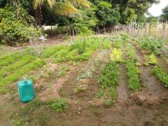 WhatsApp Image 2021-07-06 at 10.26.58 (2).jpeg