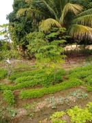 WhatsApp Image 2021-07-06 at 10.26.58.jpeg