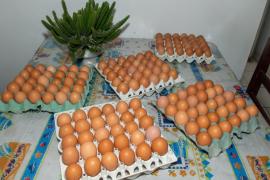 WhatsApp Image 2021-07-13 at 11.56.54.jpeg