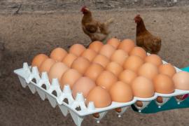 WhatsApp Image 2021-07-13 at 11.56.55.jpeg