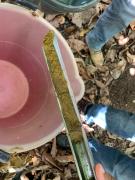 WhatsApp Image 2021-07-16 at 13.58.06 (1).jpeg