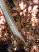 WhatsApp Image 2021-07-16 at 13.58.07 (1).jpeg