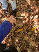 WhatsApp Image 2021-07-16 at 13.58.07 (3).jpeg