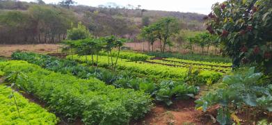 WhatsApp Image 2021-07-19 at 15.30.52.jpeg