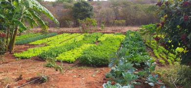 WhatsApp Image 2021-07-19 at 15.30.53.jpeg